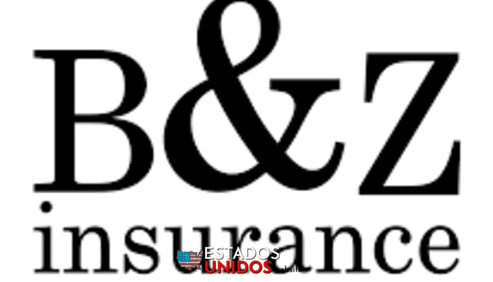 BZ Insurance